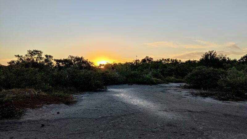 Terra Ceia Preserve State Park Trailhead - Palmetto, FL