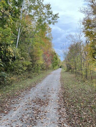 Swift's Landing - Palmyra, NY