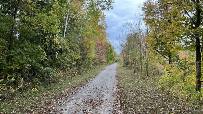 Swift's Landing - Palmyra, NY