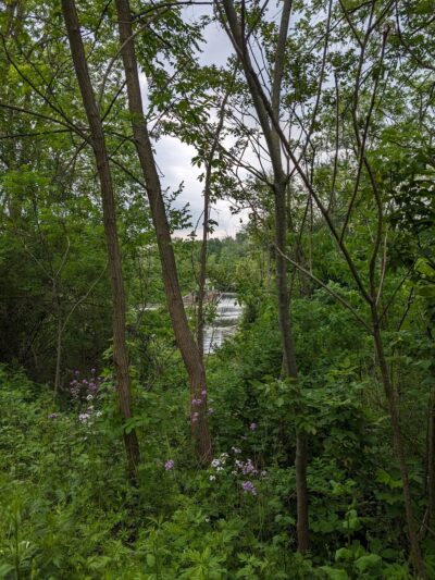 Swift's Landing - Palmyra, NY