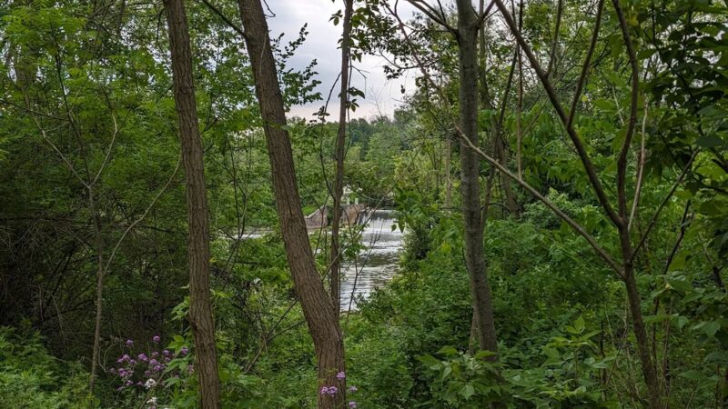 Swift's Landing - Palmyra, NY