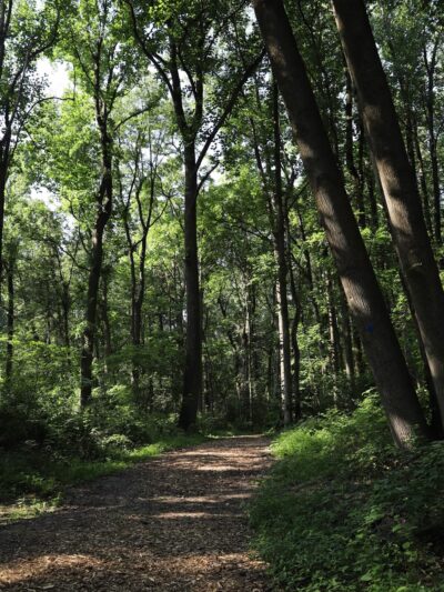 Palmyra Trail - Palmyra, PA