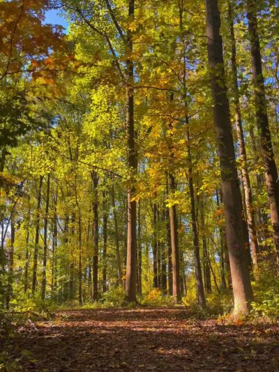 Palmyra Trail - Palmyra, PA