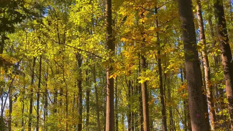 Palmyra Trail - Palmyra, PA