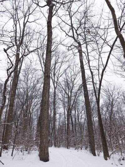 Palmyra Trail - Palmyra, PA