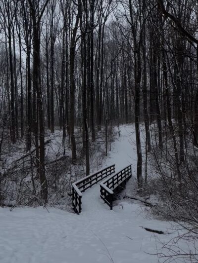 Palmyra Trail - Palmyra, PA