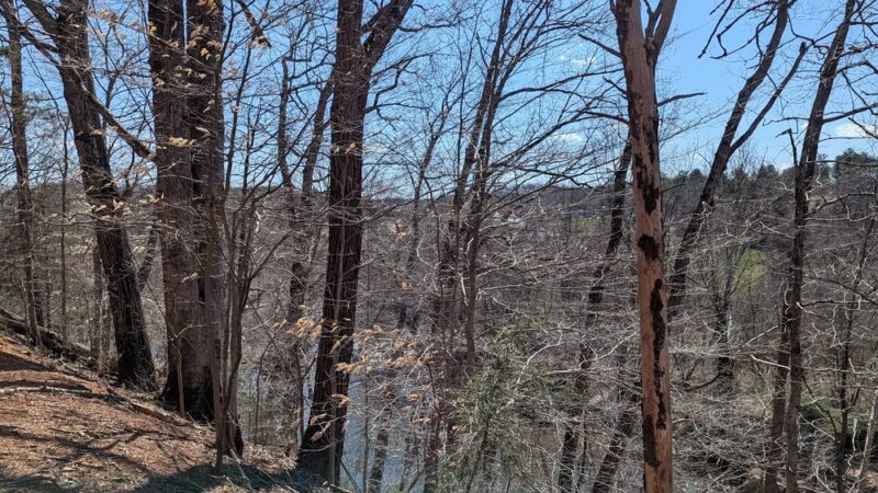 Fluvanna Rail Trail - Palmyra, VA