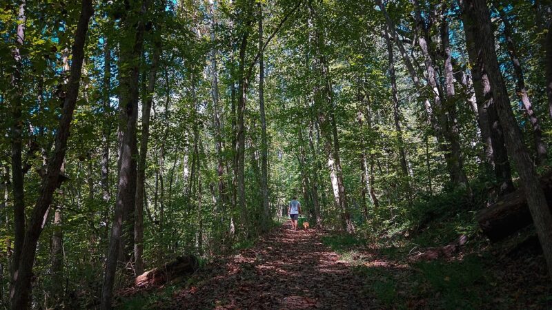 Fluvanna Rail Trail - Palmyra, VA