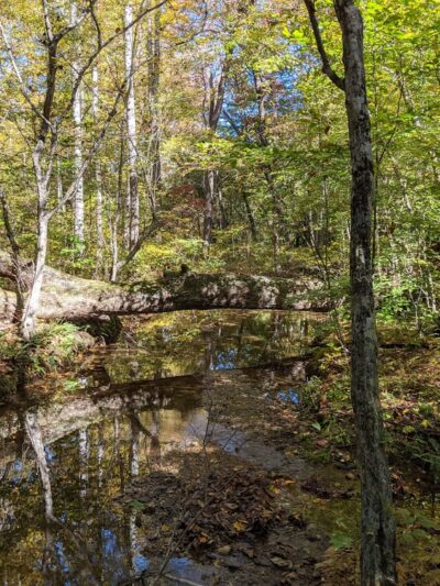Scheier Natural Area - Palmyra, VA