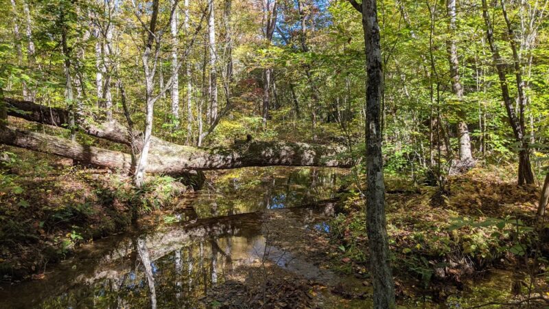 Scheier Natural Area - Palmyra, VA