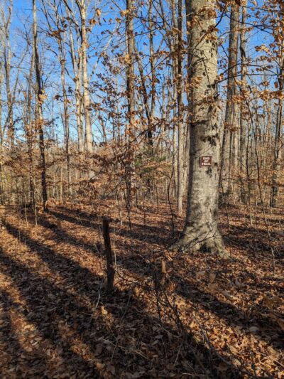 Scheier Natural Area - Palmyra, VA