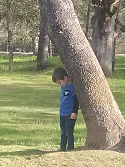 PALO CEDRO PARK - Palo Cedro, CA
