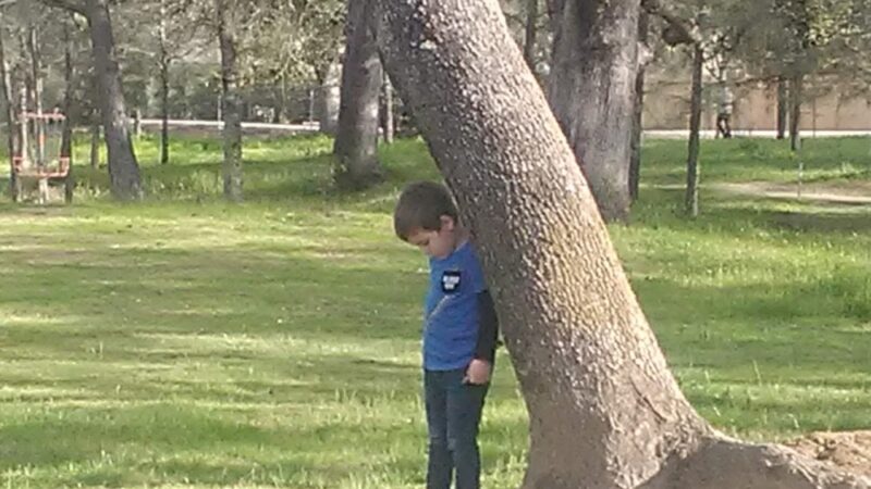PALO CEDRO PARK - Palo Cedro, CA