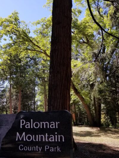 Palomar County Park - Palomar Mountain, CA
