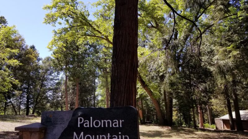 Palomar County Park - Palomar Mountain, CA