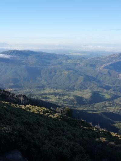 Palomar County Park - Palomar Mountain, CA