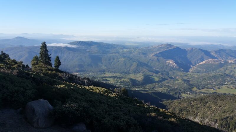 Palomar County Park - Palomar Mountain, CA