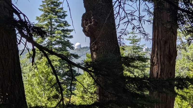 Palomar County Park - Palomar Mountain, CA