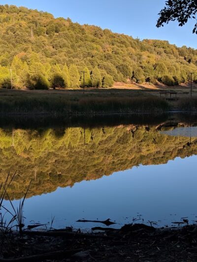 Palomar Mountain State Park - Palomar Mountain, CA