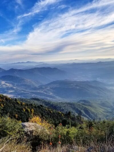 Palomar Mountain State Park - Palomar Mountain, CA