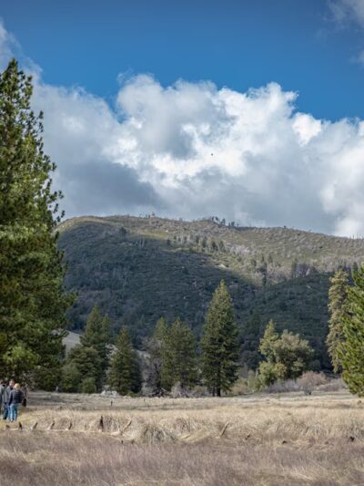 Palomar Mountain State Park - Palomar Mountain, CA