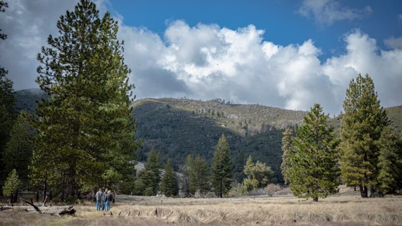 Palomar Mountain State Park - Palomar Mountain, CA