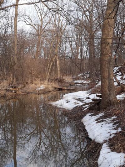Crooked Creek Woods - Palos Hills, IL
