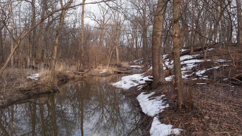 Crooked Creek Woods - Palos Hills, IL