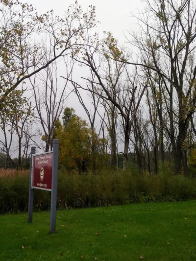 Palos Fen Nature Preserve - Palos Hills, IL