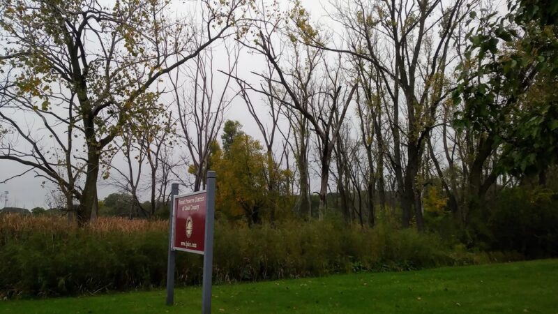 Palos Fen Nature Preserve - Palos Hills, IL