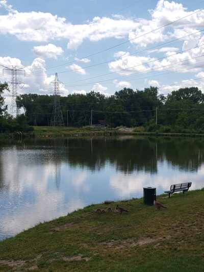 Pleasure Lake Park - Palos Hills, IL