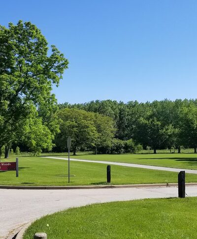 Teason's Woods - Palos Hills, IL
