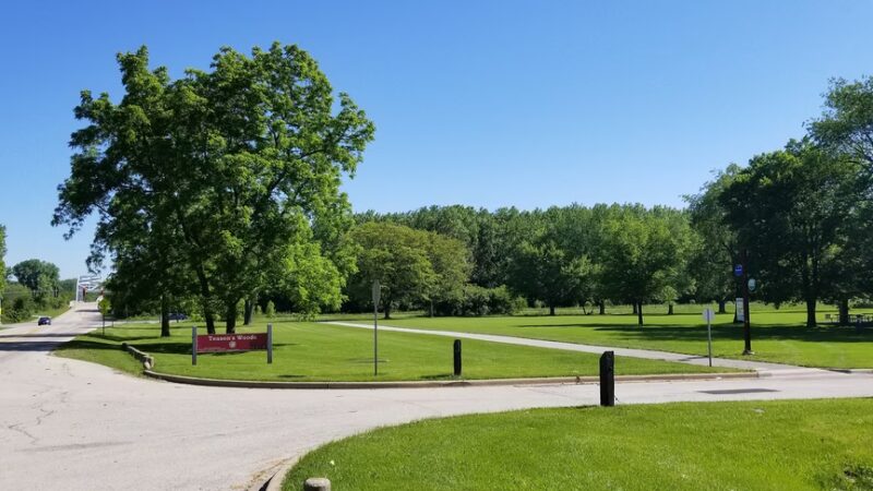 Teason's Woods - Palos Hills, IL