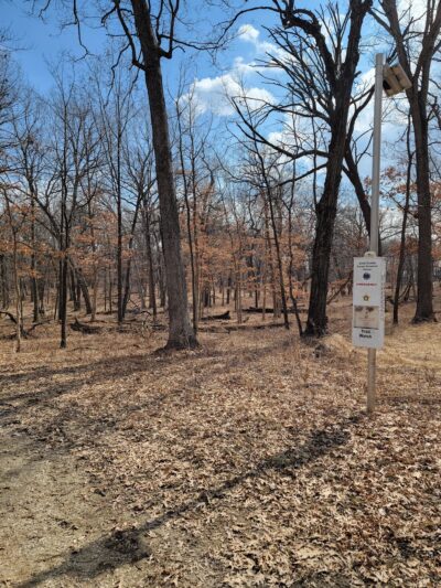 Teason's Woods - Palos Hills, IL