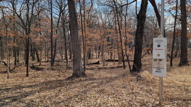 Teason's Woods - Palos Hills, IL