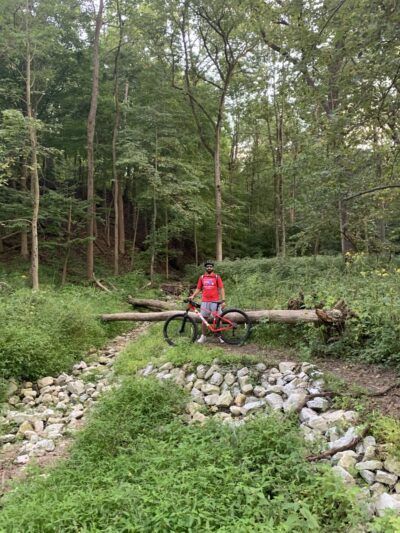 Teason's Woods - Palos Hills, IL