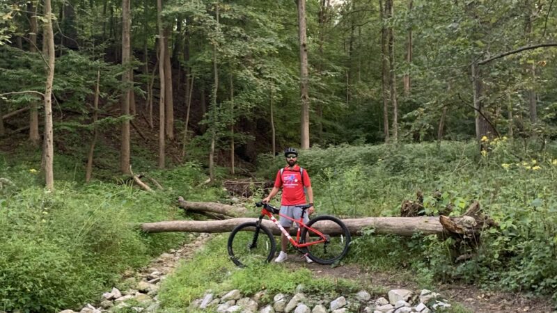 Teason's Woods - Palos Hills, IL