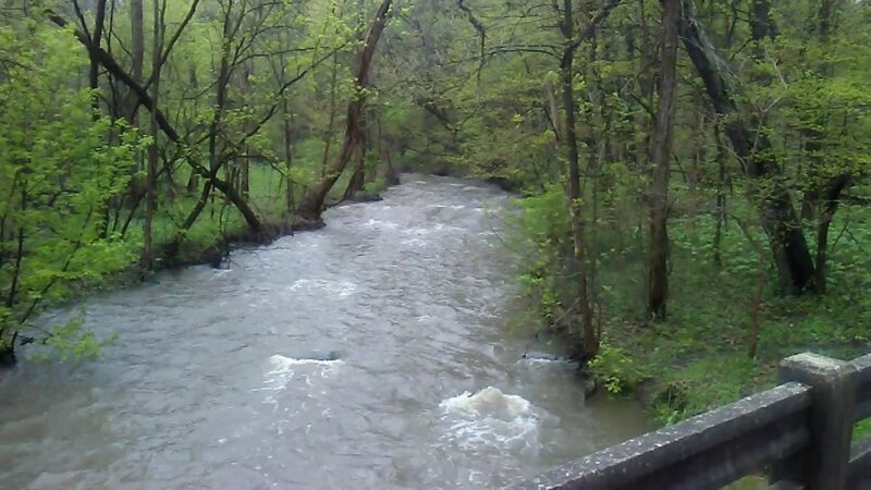 Palos Park Woods-North - Palos Park, IL
