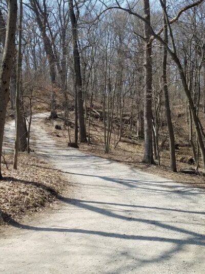 Palos Park Woods-North - Palos Park, IL