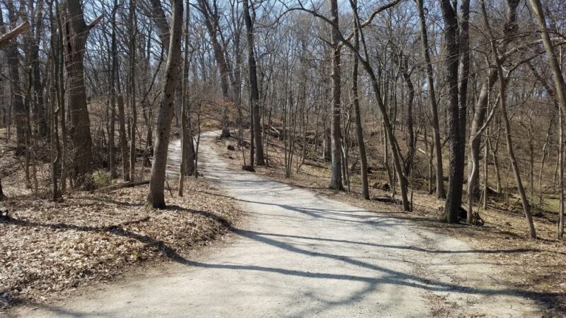 Palos Park Woods-North - Palos Park, IL