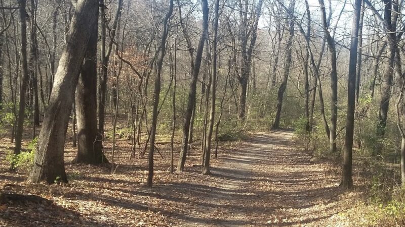 Palos Park Woods-North - Palos Park, IL