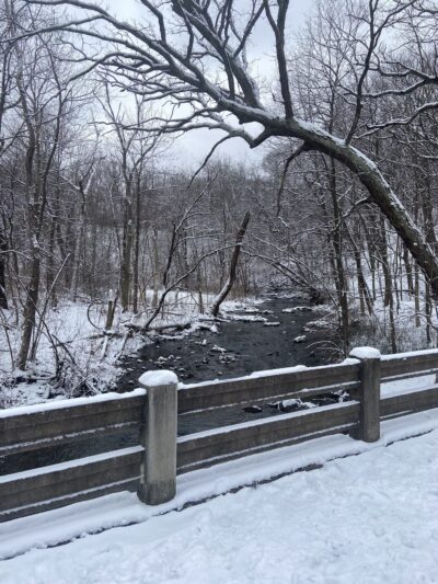 Palos Park Woods-South - Palos Park, IL