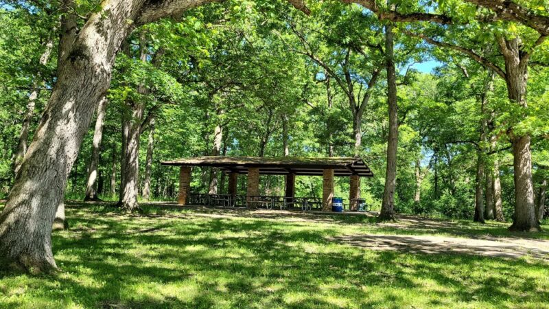 Palos Park Woods-South - Palos Park, IL