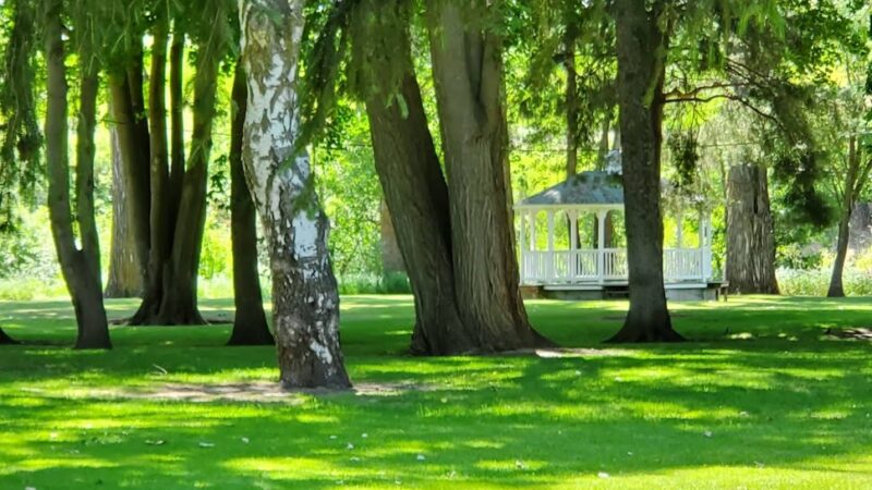 Palouse Pool And Park - Palouse, WA