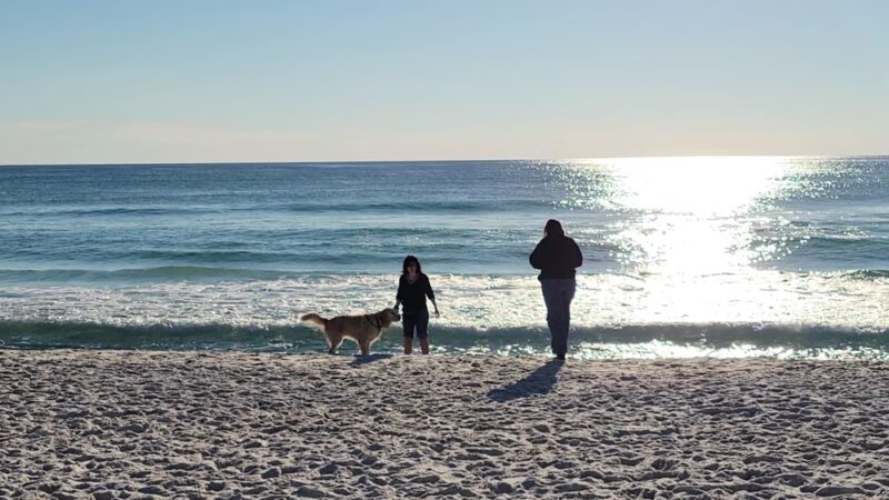 Dog Beach at Pier Park Panama City Beach - Panama City Beach, FL