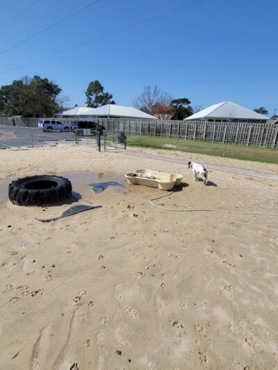 Frank Brown Park Dog Park - Panama City Beach, FL