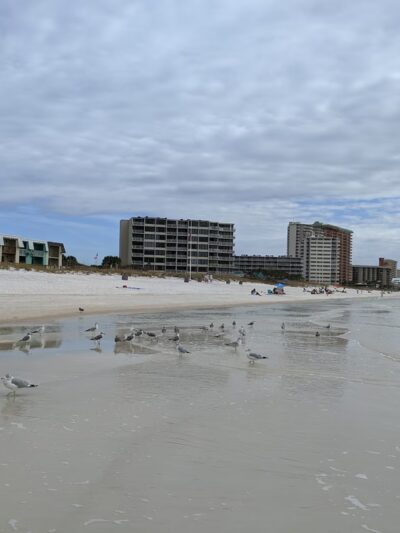 Richard Seltzer Park - Panama City Beach, FL