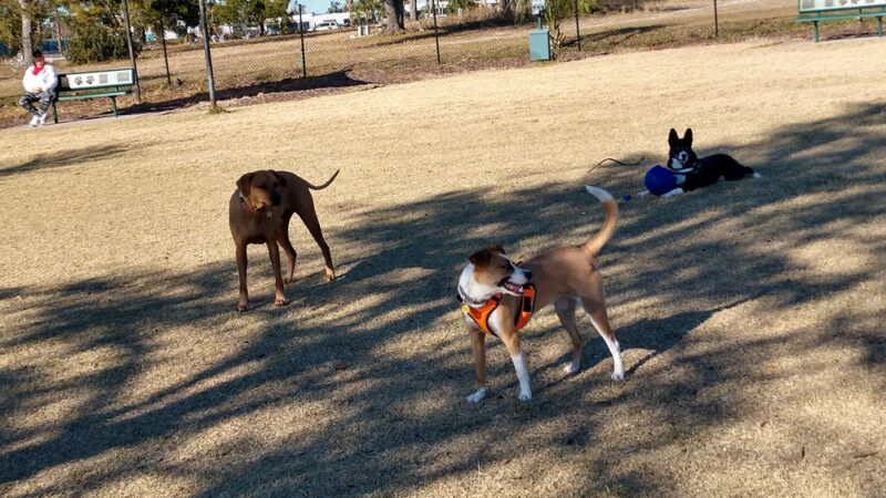 Al Helms Dog Park - Panama City, FL
