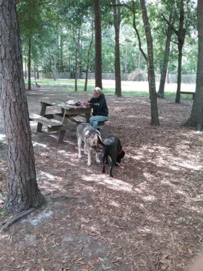 Everitt Avenue Dog Park - Panama City, FL
