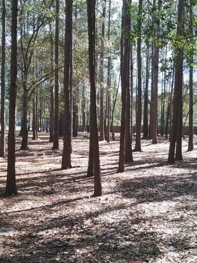 Everitt Avenue Dog Park - Panama City, FL